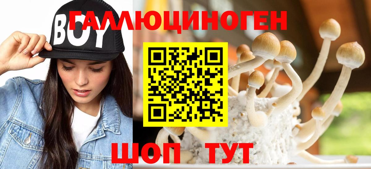Жигулёвск  Псилоцибиновые грибы Psilocybe  где можно купить   Вход с VPN 