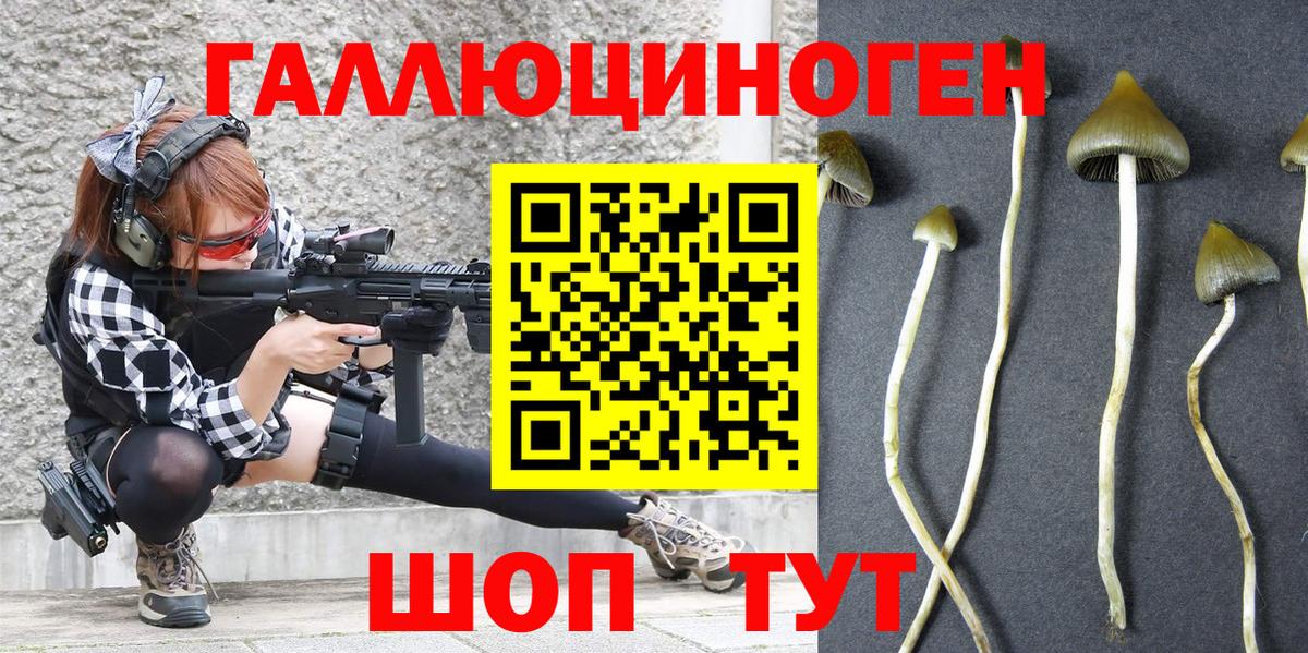 Псилоцибиновые грибы Psilocybe Жигулёвск
